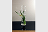 VASE_0018
